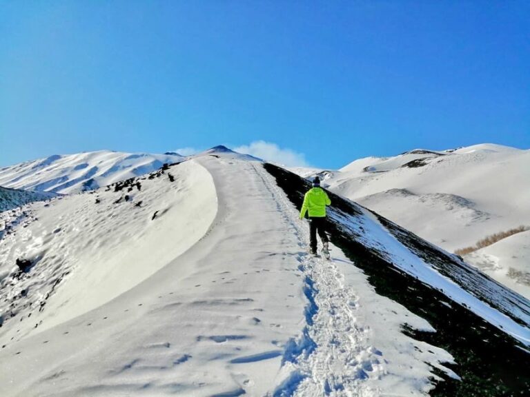 Piano Provenzana: Guided Mt. Etna Snowshoeing Trek - The Experience and Its Highlights
