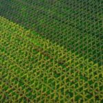 Piave: Bellussera Tour with Wine and Product Tasting - Who Is This Tour Best For?