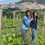 Pic nic Deluxe Assisi and wine tasting 5 wines - The Scenic Walk and Educational Boards