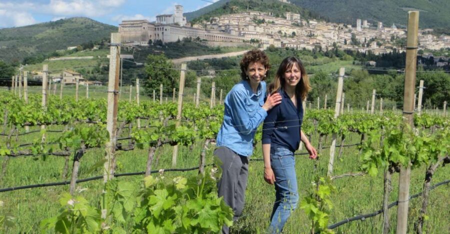Pic nic Deluxe Assisi and wine tasting 5 wines - The Scenic Walk and Educational Boards