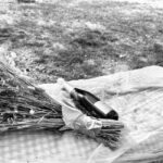 Picnic and champagne tasting in the vineyards - Who Is This Tour Best For?