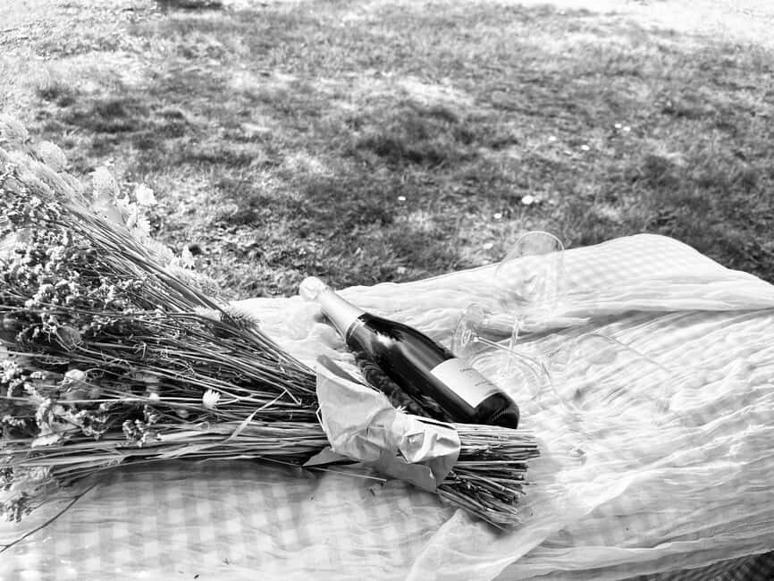 Picnic and champagne tasting in the vineyards - Who Is This Tour Best For?
