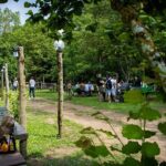 Picnic Area with Barbecue Equipment in Capranica (VT) - Who Is This Experience Good For?