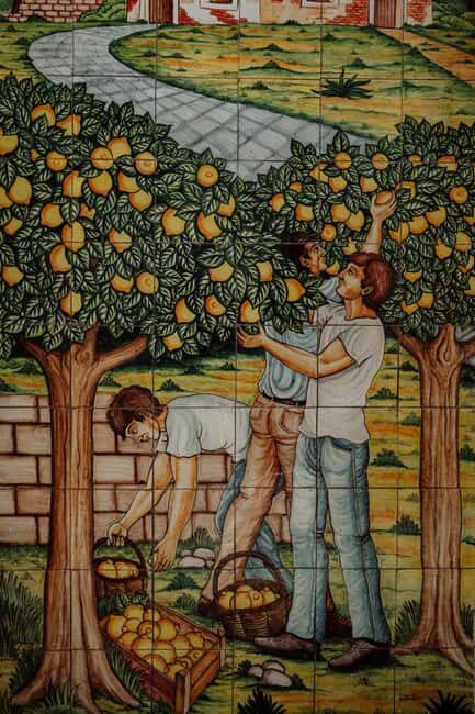 Picnic at the Estates - What to Expect During the Tour