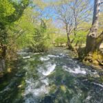 Picnic in Nature & Video + Photoshoot  Agios Nikolaos, Naoussa - The Itinerary: What to Expect