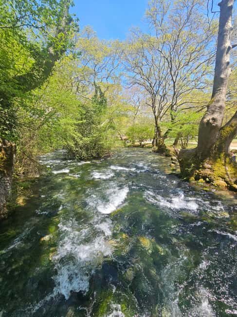 Picnic in Nature & Video + Photoshoot  Agios Nikolaos, Naoussa - The Itinerary: What to Expect