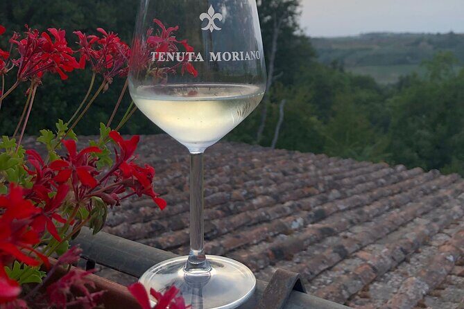 Picnic in the countryside in the heart of Chianti - Who Will Love This Experience?