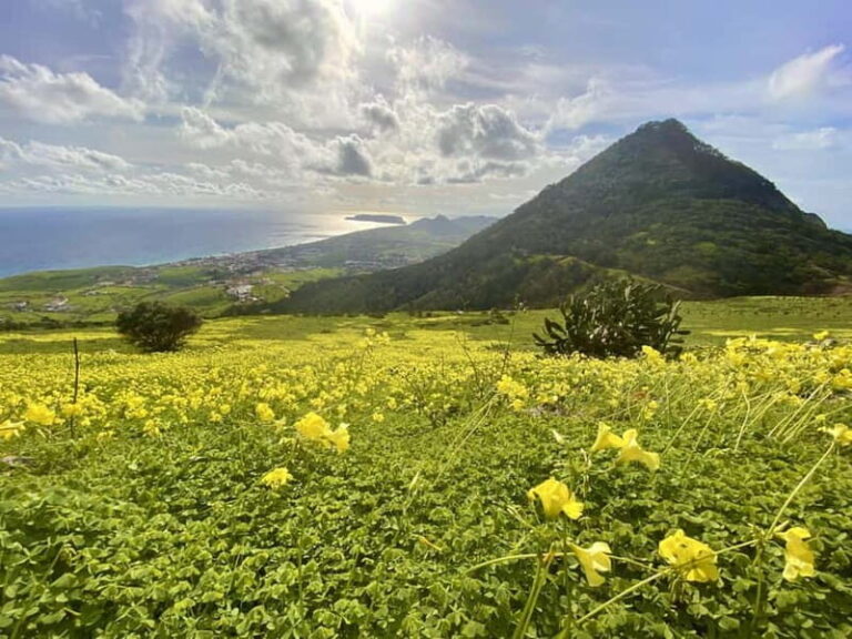 Pico Castelo & Pico Facho Vereda: Walk with Spectacular View - The Trail: From Desolate to Dynamic