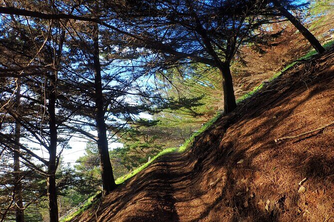 Pico do Facho Panoramic Trail - The Experience: What Youll See and Feel