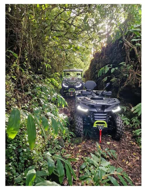 Pico: Dune buggy adventure - The Value of the Experience