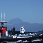 Pico Island: Azores Whale & Dolphin Watching on Zodiac Boat - The Itinerary in Detail