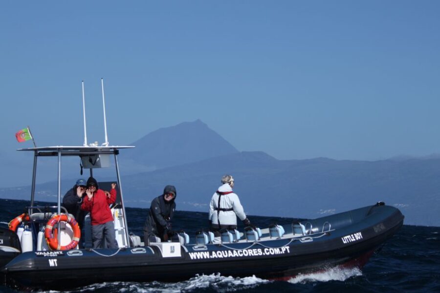Pico Island: Azores Whale & Dolphin Watching on Zodiac Boat - The Itinerary in Detail