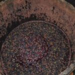 Pico Island: Full Day Wine Culture Tour - The Value of the Tour