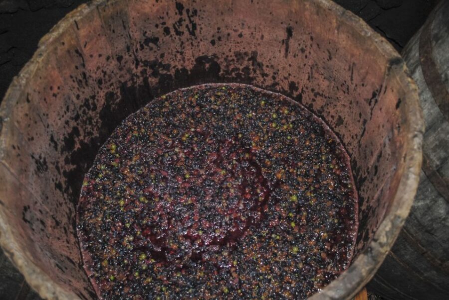 Pico Island: Full Day Wine Culture Tour - The Value of the Tour