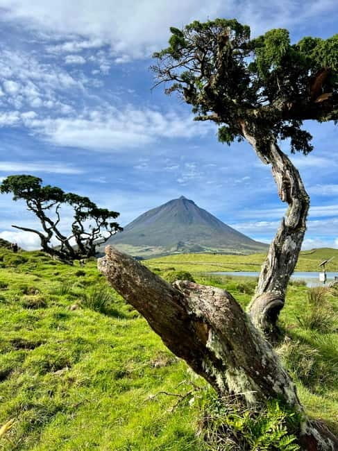 Pico island: highlights, wine tasting and local gastronomy - Culinary and Cultural Highlights