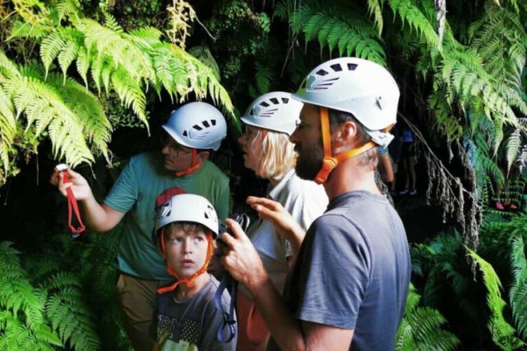 Pico Island: Private Highlights Tour - The Transport and Logistics