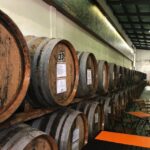 Pico Wine Tour: Get to know Pico's wines - What to Expect and Why It Matters