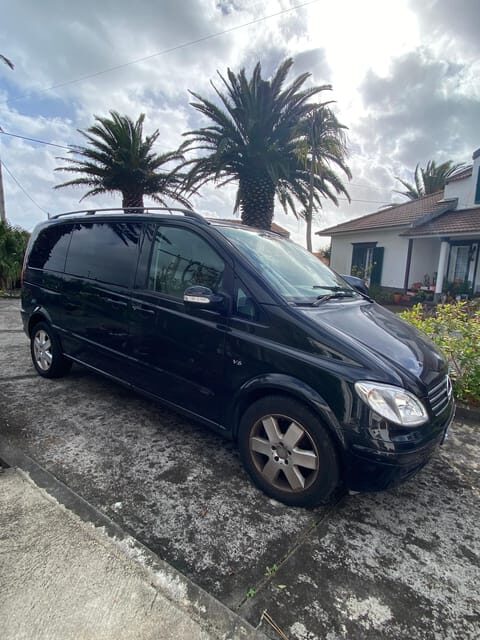 Pico Wine Tours - Visiting the Vineyards and UNESCO Protected Zone