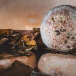 Pienza: Dairy Farm Tour with Pecorino Cheese Tasting - What the tour involves