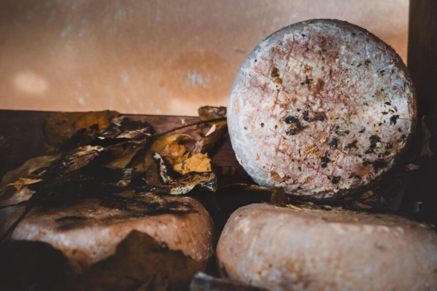 Pienza: Dairy Farm Tour with Pecorino Cheese Tasting - What the tour involves