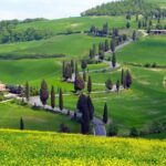 Pienza, Montalcino, Brunello Wine and Pecorino Cheese PRIVATE TOUR from FLORENCE - The Experience: What You Can Expect