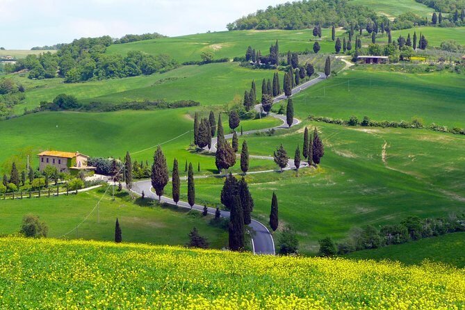 Pienza, Montalcino, Brunello Wine and Pecorino Cheese PRIVATE TOUR from FLORENCE - The Experience: What You Can Expect