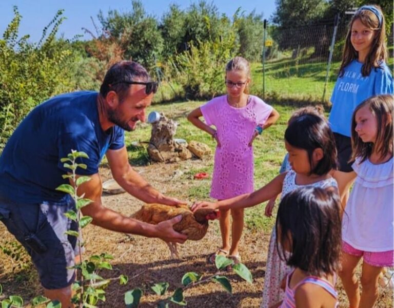 Pienza: Sheep and Chickens Tour w/Gourmet Lunch at Farmhouse - Who Would Love This Tour?