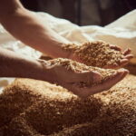 Pienza: tour of the mill with oil and wine tasting - FAQ