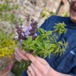 Pienza: Typical Gourmet Lunch at Ancient Tuscan Farmhouse - Practicalities and Value
