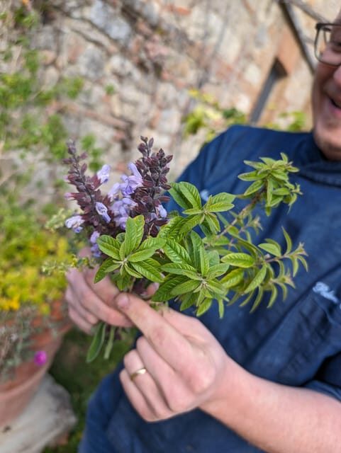 Pienza: Typical Gourmet Lunch at Ancient Tuscan Farmhouse - Practicalities and Value