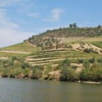 Pinhão: 2-Hour Rabelo Boat Tour with Audio Guide - The Pros and Cons