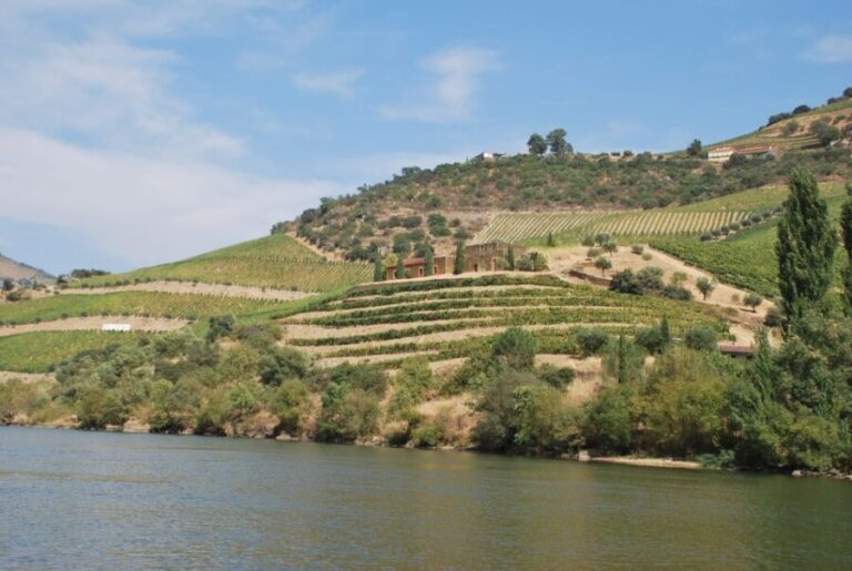 Pinhão: 2-Hour Rabelo Boat Tour with Audio Guide - The Pros and Cons