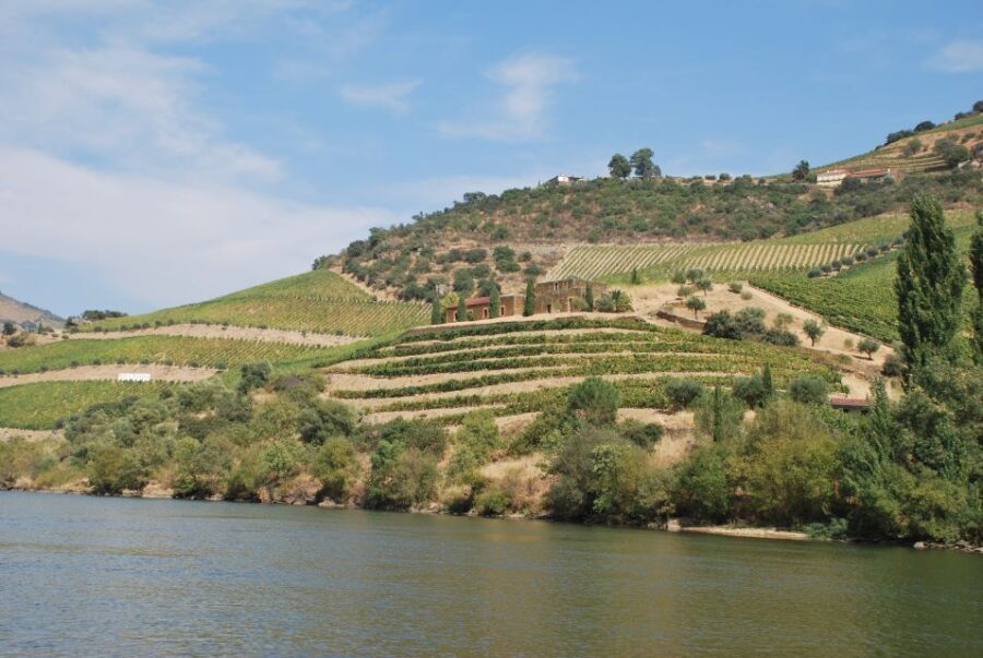 Pinhão: 2-Hour Rabelo Boat Tour with Audio Guide - The Pros and Cons