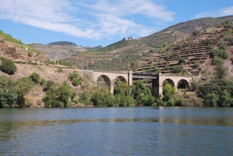 Pinhão: 4 Hour Douro Valley Kayak Rental - What You Can Expect from This Kayaking Tour