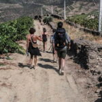 Pinhão: Douro Valley Guided Hike - The Cultural Touch: Lunch by the River