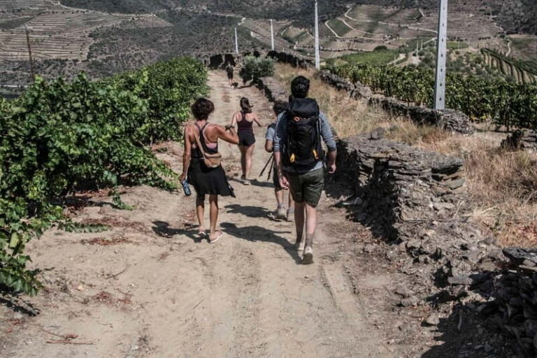 Pinhão: Douro Valley Guided Hike - The Cultural Touch: Lunch by the River