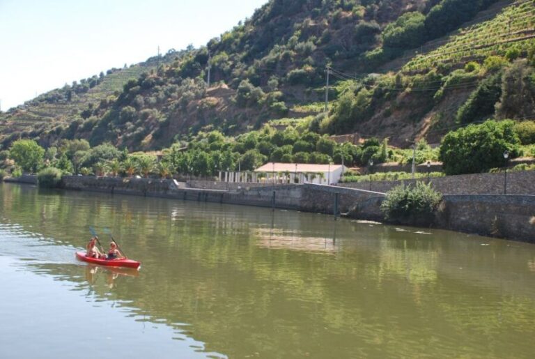 Pinhão: Douro Valley Rabelo Boat Tour and Kayak Experience - A Detailed Look at the Experience
