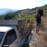 Pinhão Experience: Wine Tasting, Lunch, and Rabelo Boat - Transportation and Group Dynamics