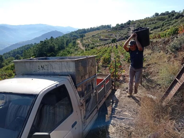 Pinhão Experience: Wine Tasting, Lunch, and Rabelo Boat - Transportation and Group Dynamics