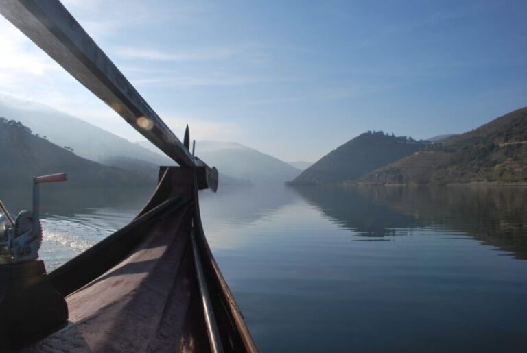 Pinhão: Private Rabelo Boat Tour along the River Douro - An In-Depth Look at the Rabelo Boat Experience