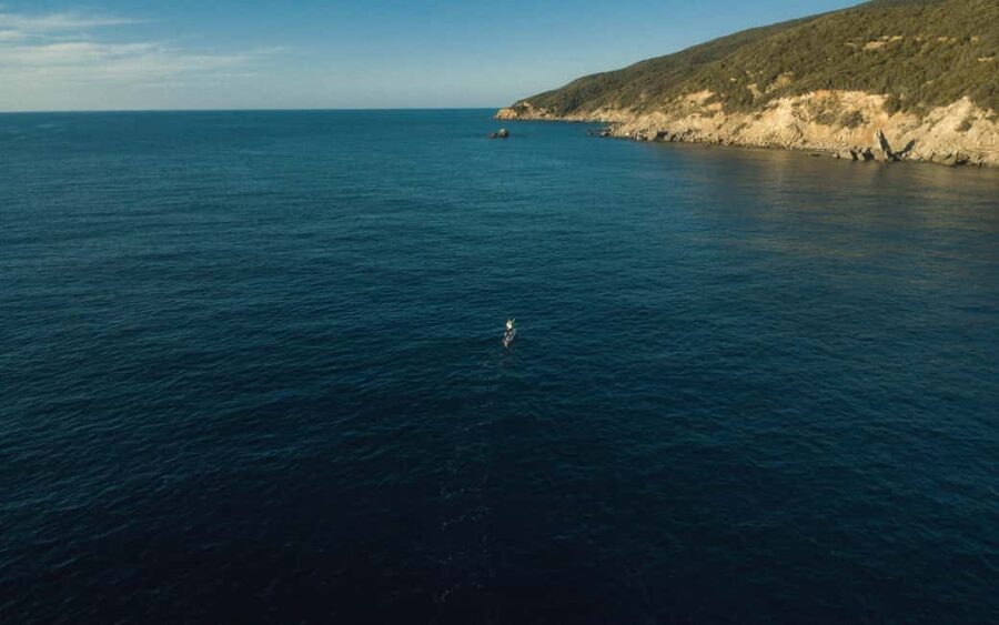 Piombino (Tuscany): Stand Up Paddle Experience - Who Should Consider This Tour?