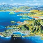 Piran and Scenic Slovenian Coast - Private Tour from Trieste - Why This Tour Works for Travelers