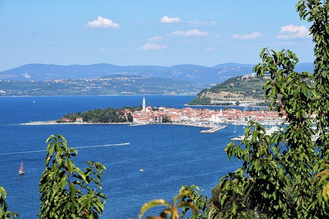Piran & Panoramic Slovenian Coast - Small Group Tour from Trieste - What the Experience Feels Like