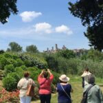 Pisa and San Gimignano Tour from Florence - Hassle-Free Private Transport