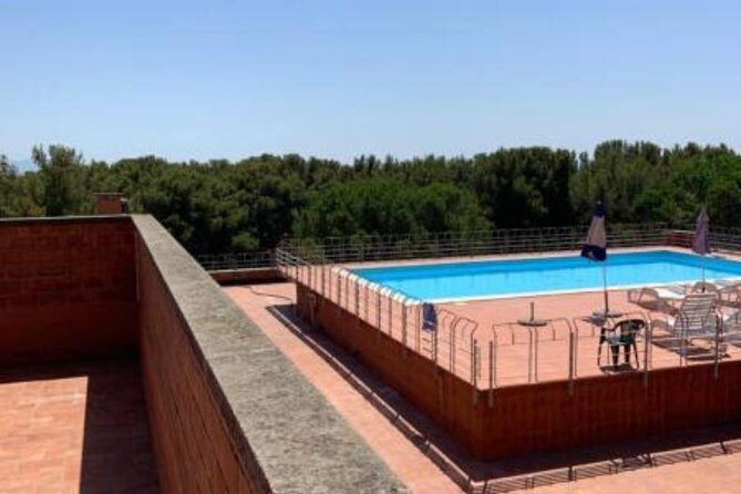 Pisa/Florence Airport Pick-up/Drop-off to Castiglioncello - What Makes This Transfer Stand Out?