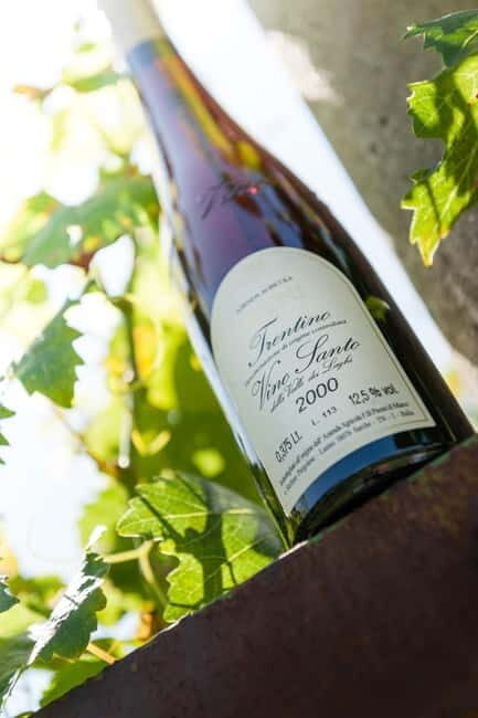 Pisoni: Stories of wine and flavors - An introduction to Pisoni: A scenic journey into Trentino wine