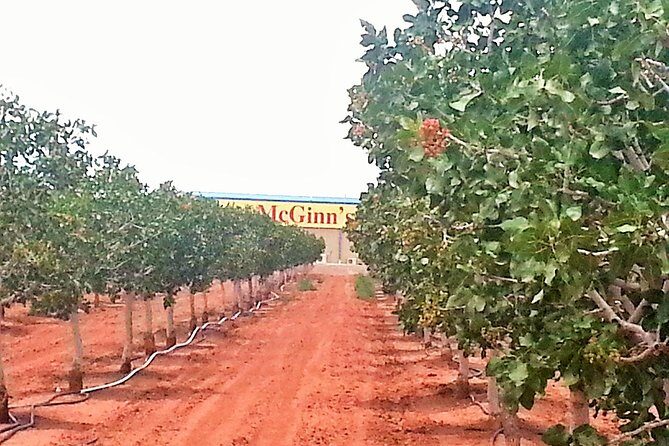 PistachioLand Farm Tour - What Makes the PistachioLand Farm Tour Stand Out