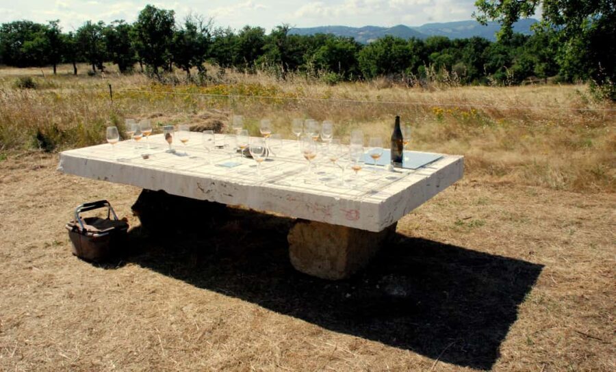 Pitigliano: Ciliegiolo Grape Wine Tasting - Practical Tips