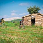 Pla de Bages: Bike tour with wine tasting - A Closer Look at the Pla de Bages Bike & Wine Tour