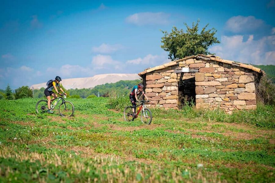 Pla de Bages: Bike tour with wine tasting - A Closer Look at the Pla de Bages Bike & Wine Tour